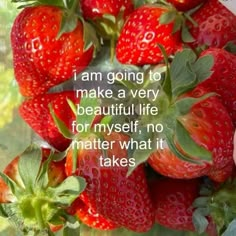 a bunch of red strawberries sitting on top of a window sill with the words i am going to make a very beautiful life for my self, no matter what it takes