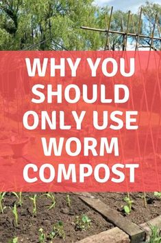 a red sign that says, why you should not use worm compost