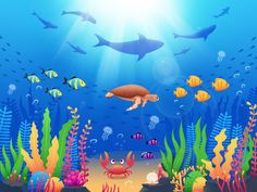 an underwater scene with sea animals and fish