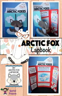 the arctic fox lapbook is open and ready to be used as an activity for kids