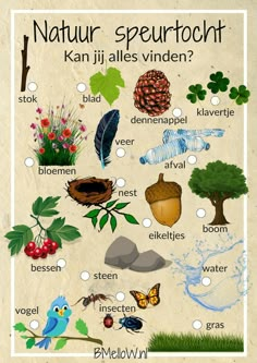 a poster with different types of plants and animals