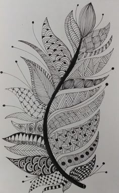 Saanvi Goyal - zentangled feather Zentangle Feathers Step By Step, Zentangle Patterns Artwork, Zentangle Drawings Beautiful, Zentangle Art Flowers, Zentangle Drawings Ideas, Feathers Artwork, Unique Zentangle Drawings, Zentangle Art Ideas, Feather Doodle