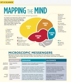 the info sheet shows what happens happen when you're in your mind and how to use it