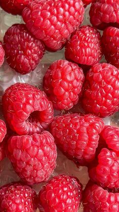 fresh raspberries in a plastic container ready to be picked into the freezer