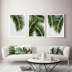 three green palm leaves are hanging on the wall above a white couch and coffee table