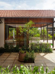 an open courtyard with plants and trees in the foreground