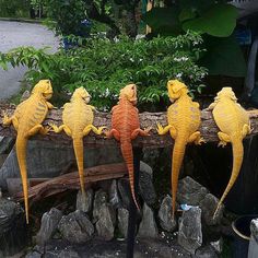 four yellow and orange lizards are standing on a log