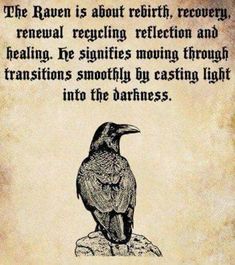 a raven sitting on top of a rock next to a quote about the raven's return