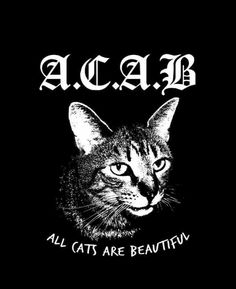 a black and white photo of a cat with the words aca b all cats are beautiful