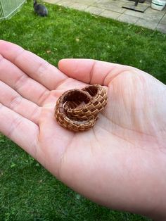 a hand holding two small pieces of wood in it's palm on the grass