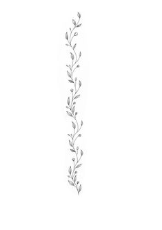 a line drawing of leaves on a white background