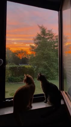 two cats sitting on a window sill looking out at the sunset