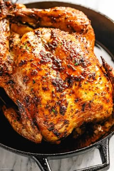 a close up of a chicken in a pan