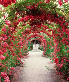 an archway covered in pink flowers and greenery