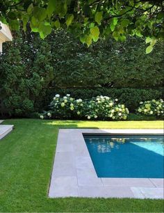 an empty pool in the middle of a yard