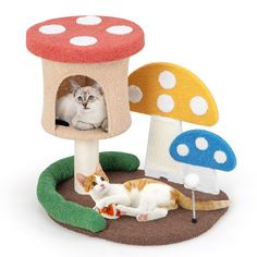 a cat laying on the ground next to a mushroom house