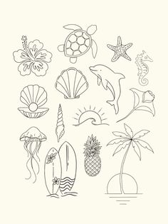 a drawing of different types of sea animals and seashells on a white background