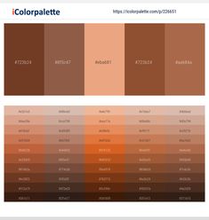 the color palette is shown in different shades