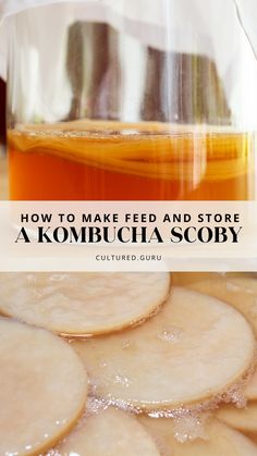 how to make feed and store a kombucha story