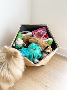 a small dog is looking at stuffed animals in a box on the floor next to a wall