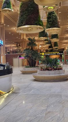 an airport lobby with plants hanging from the ceiling