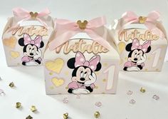 two minnie mouse boxes with pink bows and hearts on the front, one has a name