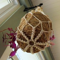 a plant hanging from the ceiling in front of a window