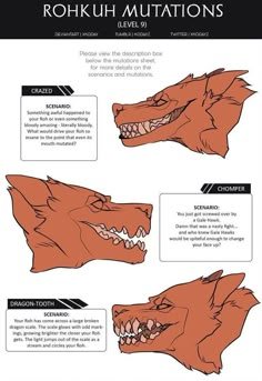 an info sheet showing how to draw a wolf's head