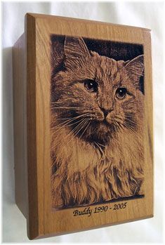 a wooden block with a cat on it's face and the words, buddy 1989 - 2005