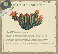 an image of a cactus with a camera on it's back side and the words cactus melon written below