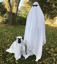 two dogs dressed up as ghostes in the yard