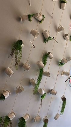 there are many cups hanging on the wall with plants growing out of them and attached to strings