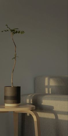 a potted plant sitting on top of a table next to a couch in a living room