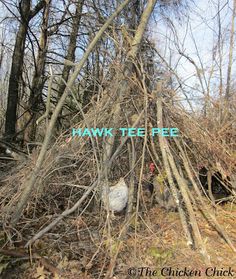 a pile of branches with the words hawk tee free on it in front of some trees