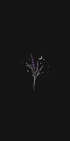 a purple flower on a black background with the moon in the sky