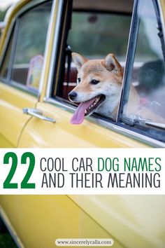 car names for dogs Car Names