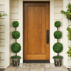 two potted plants on either side of a wooden door in front of a house