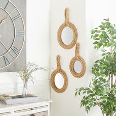 three circular mirrors hanging on the wall next to a potted plant