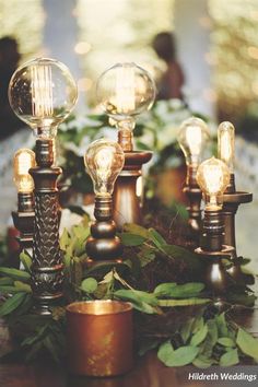 an assortment of light bulbs sitting on top of a table next to potted plants