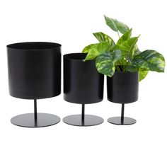 three black vases with plants in them sitting on top of each other next to each other