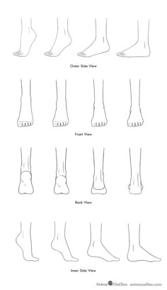 the different types of feet and ankles for each person to see in their own body