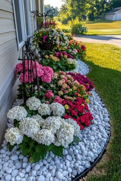 the flowers are lined up along the side of the house with rocks in front of them