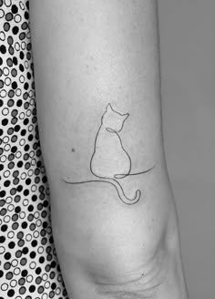 a black and white photo of a cat on the ankle