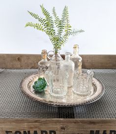 there is a metal tray with glass bottles and a plant in it on the table