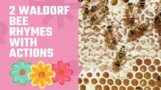 some bees are sitting on top of a honeycomb with the words 2 waldore bee rhymes with actions