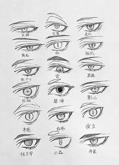 an image of various types of eyes