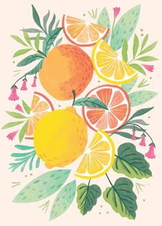 an illustration of oranges and lemons with leaves