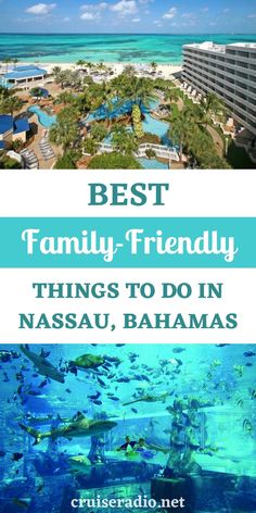 the best family - friendly things to do in nassau, bahamas