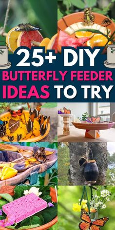 25 + diy butterfly feeder ideas to try