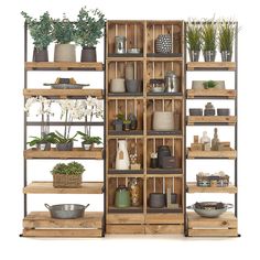 a wooden shelf filled with pots and plants